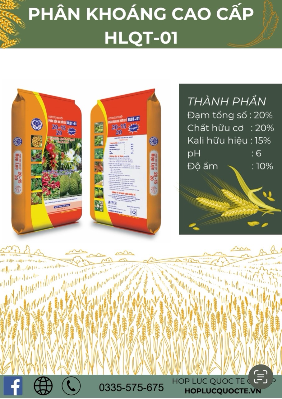 HLQT-01 CAO CẤP